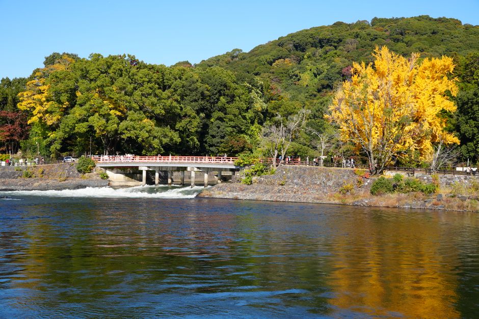 5-Day Kyoto Itinerary Hidden Gems: 5-Day Kyoto Itinerary That Skips the Tourist Traps