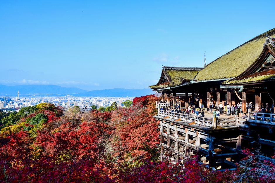 Breathtaking view of Kiyomizu-dera Temple with vibrant autumn foliage in Kyoto, Japan.