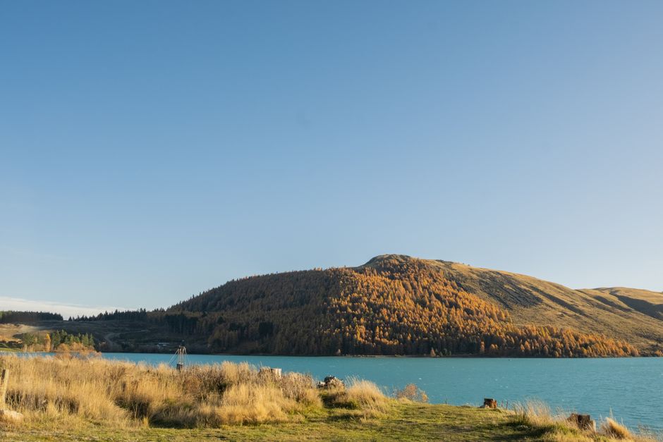 Breathtaking autumn landscape of Lake Tekapo with vibrant foliage and clear blue sky.