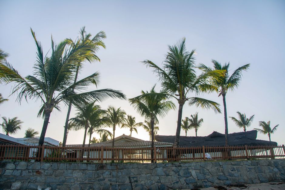 All Inclusive Resort Hawaii: Mastering the Art of Home Fermentation: A Comprehensive Guide