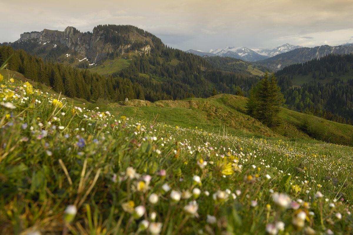 Traveling the Alps in low season