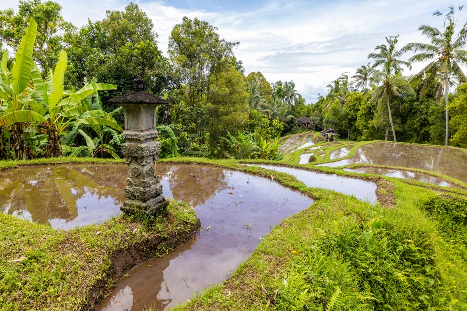 Bali 7-Day Itinerary 2026: Hidden Gems & Tourist Traps to Avoid