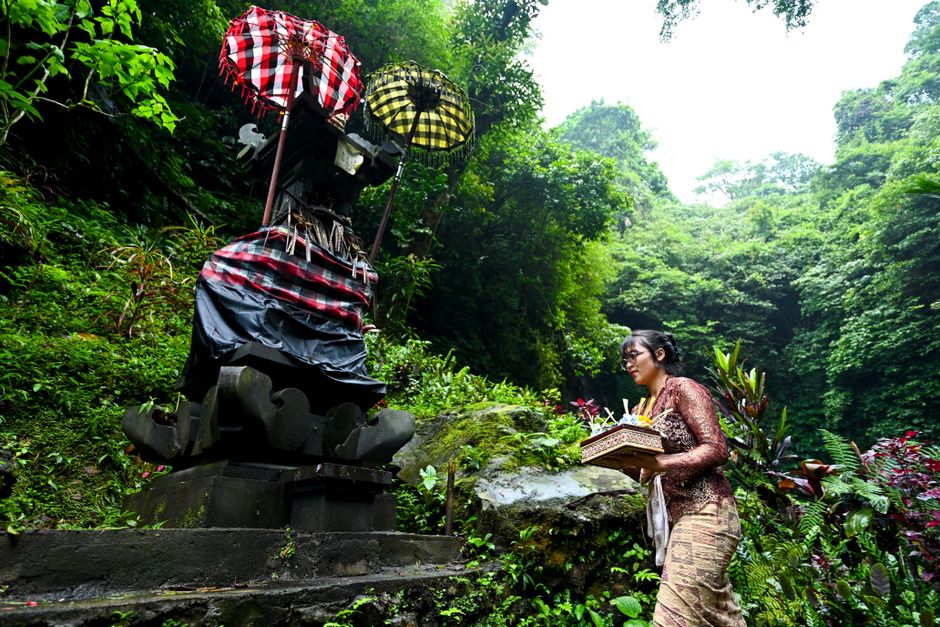 A Balinese woman offering prayers at a temple surrounded by lush greenery in Bali, Indonesia.