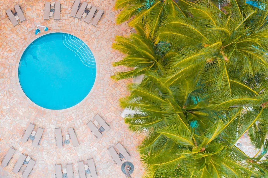 Stunning aerial shot of a circular pool surrounded by palm trees and sunbeds.
