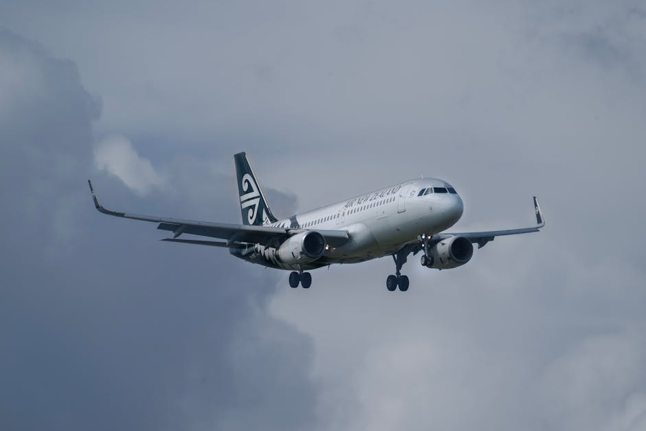 Stop overpaying for flights to New Zealand because the ‘National Carrier’ cult is a lie