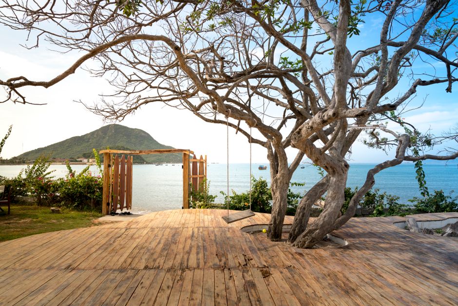 Wooden playground with big withered tree and swing hanging on branch and wooden gates to seashore in daytime