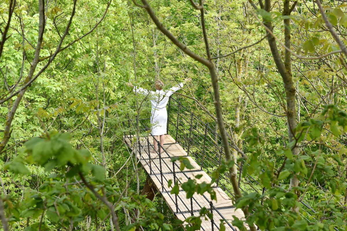 Spa oases in nature – sustainable wellness hotels surrounded by greenery