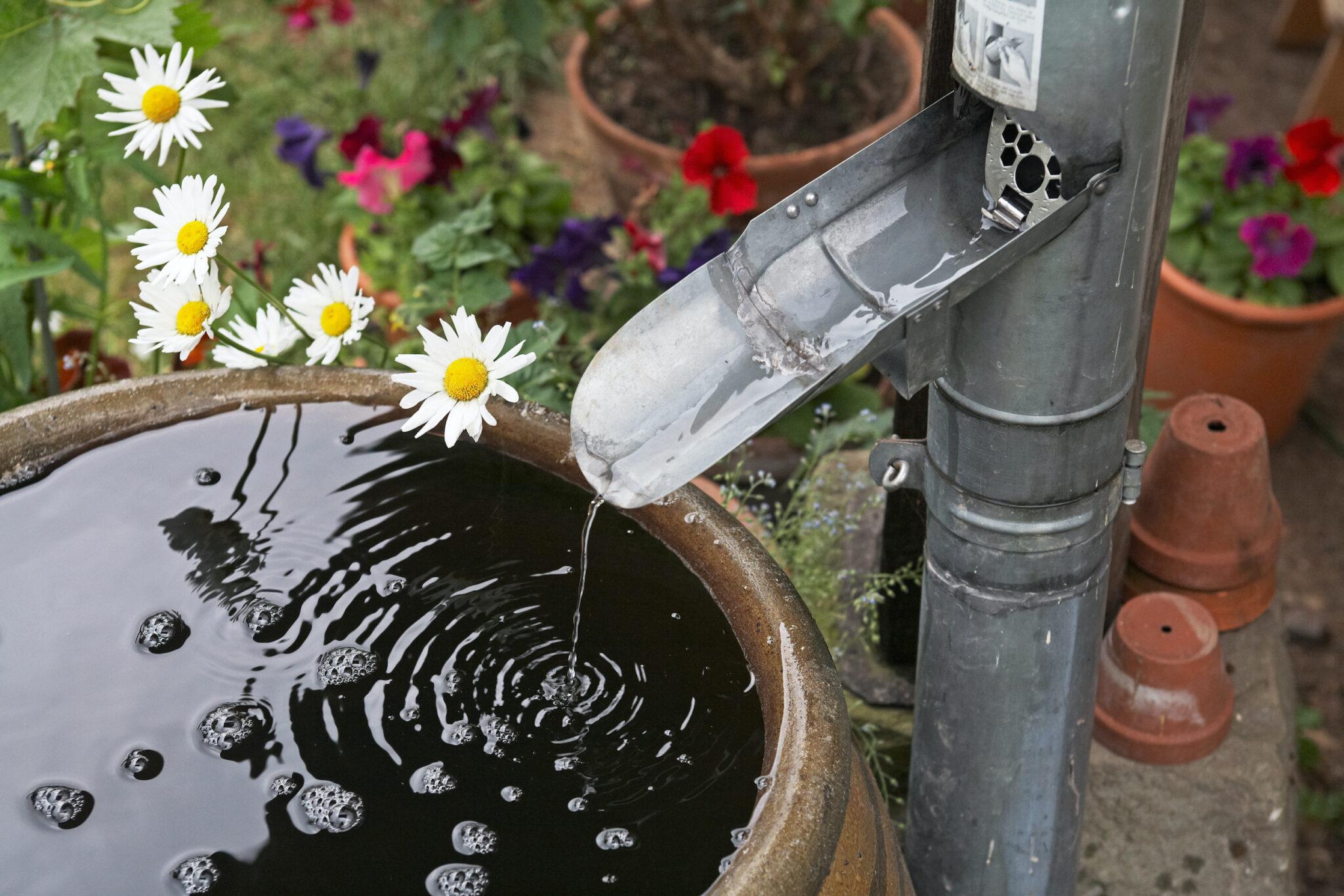 Harvesting graywater and rainwater: Sustainable projects in the face of climate change