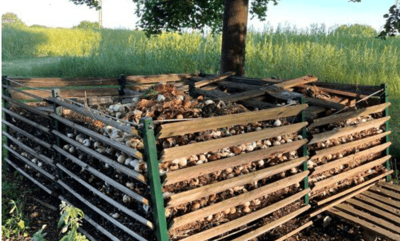 Biodegradable – What does it mean and how does it get implemented in sustainable accommodations?