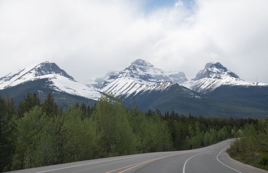 National Parks Road Trip With Young Kids: Honest Verdict for 2026