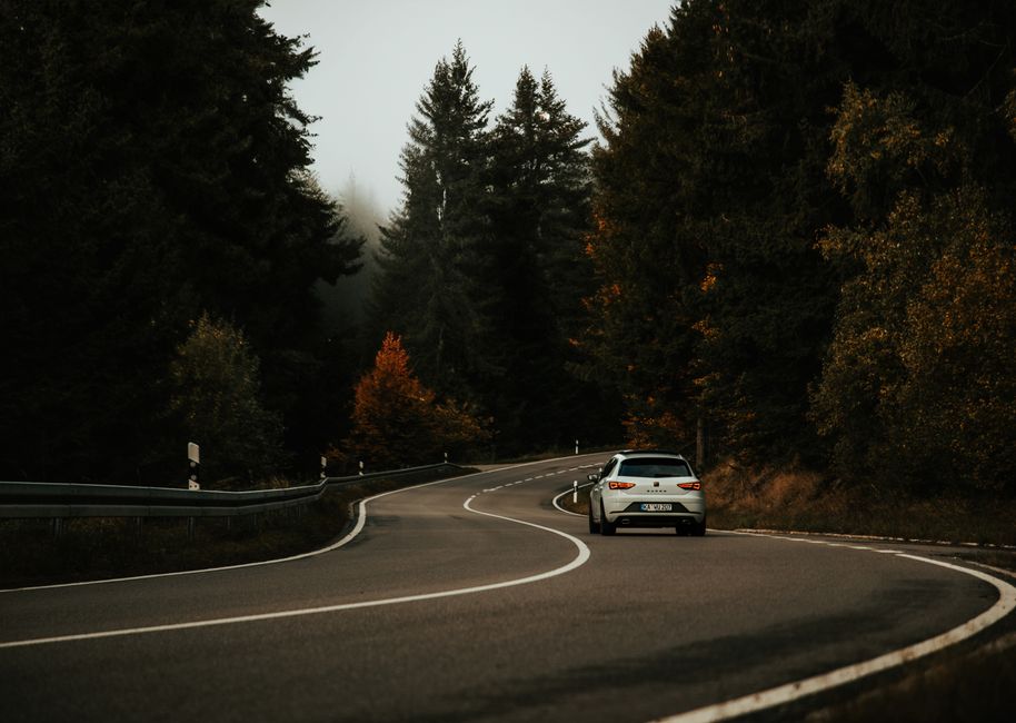 A silver car navigates a winding road through a misty autumn forest, evoking a sense of adventure and travel.