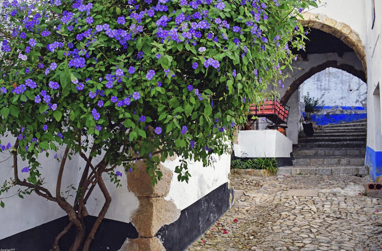 Rainy-Day Travel Activities That Still Feel Worth Packing For travel photo