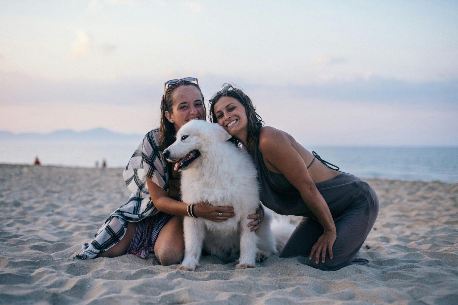 Sustainable travel with your dog: Our tips for a relaxing trip with your four-legged friend
