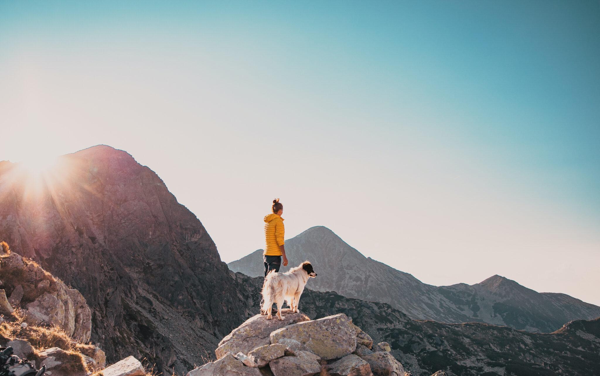 Hiking with your Dog: Our favourite Trails and dog-friendly Hotels in the European Alps