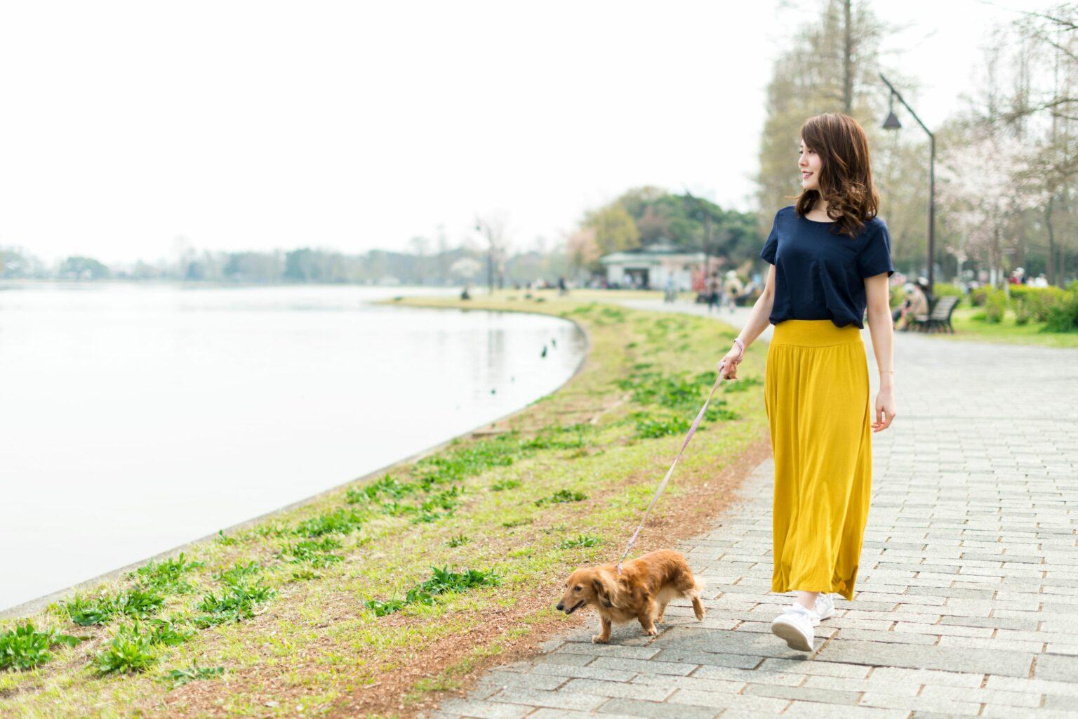 Slow Travel on foot – Why you should discover your destination by walking
